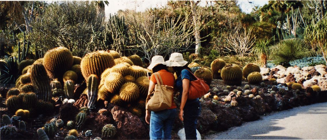 Writing Teachers Club (Zoom)